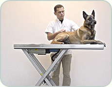 veterinary examination table